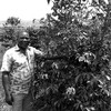 George Muhanuka Tindyebwa has never tased his own coffee.  (photo: The Niles | Davis Mugume)