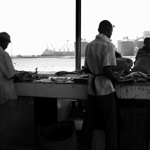             The main fish market in Port Sudan, March 6, 2014.                    (photo: The Niles | Abdalhady Alhag)