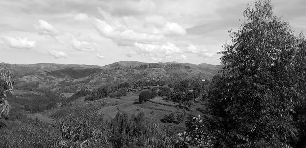 أراضي زراعية في مقاطعة كيانزا في بوروندي.  (الصورة: النيلان | فابيان نيونيزيجي)