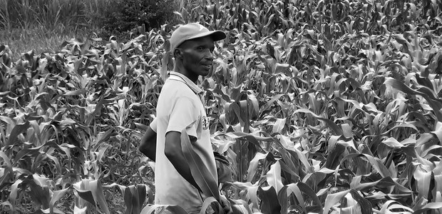 كاجينا إيرموجين، مزارع ذرة متخصص في رواندا.  (الصورة: النيلان | جون بول مباروشيمانا)