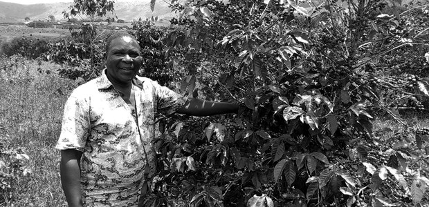 لم يذق جورج موهانوكا تينديبوا أبدا طعم بُنِّه.  (الصورة: النيلان | ديفيس موغومي)