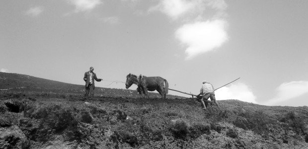 Farmers are ploughing their field on the slopes of Choke Mountain. (photo: The Niles | Dagim Terefe)