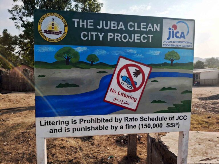 Addressing plastic pollution in the Nile Basin: From policy ambition to action on the ground