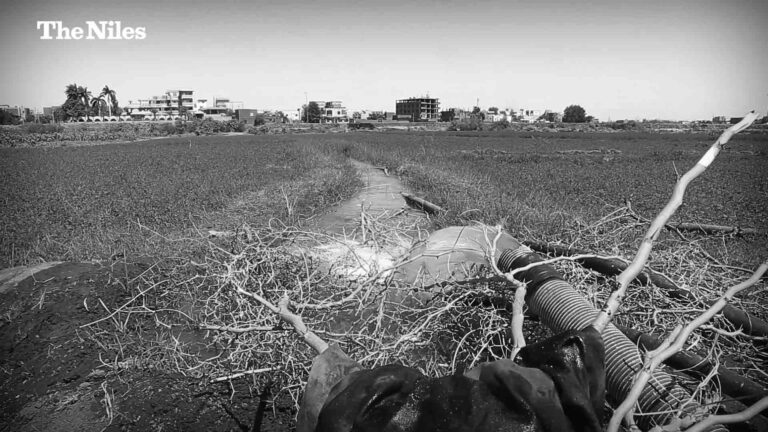 Sudan’s poisoned waters: How war is contaminating the Nile